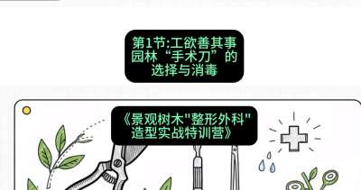 第01节：工欲善其事&mdash;&mdash;园林&ldquo;手术刀&rdquo;的选择与消毒，课程：《景观树木&ldquo;整形外科&rdquo;造型实战特训营》#识农AI