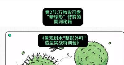 第02节：万物皆可盘&mdash;&mdash;&ldquo;精球形&rdquo;修剪的圆润秘籍，课程：《景观树木&ldquo;整形外科&rdquo;造型实战特训营》#识农AI