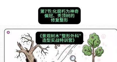 第07节：化腐朽为神奇&mdash;&mdash;偏冠、秃顶树的修复整形，课程：《景观树木&ldquo;整形外科&rdquo;造型实战特训营》#识农AI