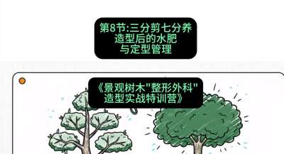 第08节：三分剪七分养&mdash;&mdash;造型后的水肥与定型管理，课程：《景观树木&ldquo;整形外科&rdquo;造型实战特训营》#识农AI