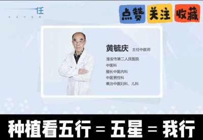 中药材淫羊藿怎么种？听专家一次讲明白！不挑地块好管理，耐寒耐旱省心省力，新手也能轻松上手，药用价值高、市场需求稳，妥妥的增收好品种～ 从生长习性到采收要点，干货满满无废话，种植疑问直接问，一对一答疑解
