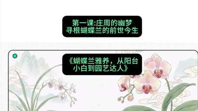 第一节：庄周的幽梦：寻根蝴蝶兰的前世今生，课程：《蝴蝶兰雅养六讲：从阳台小白到园艺达人》#识农AI