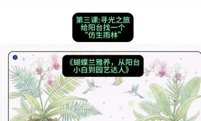 第三节：寻光之旅：给阳台找一个&ldquo;仿生雨林&rdquo;，课程：《蝴蝶兰雅养六讲：从阳台小白到园艺达人》#识农AI
