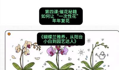 第四节：催花秘籍：如何让&ldquo;一次性花&rdquo;年年复花，课程：《蝴蝶兰雅养六讲：从阳台小白到园艺达人》#识农AI