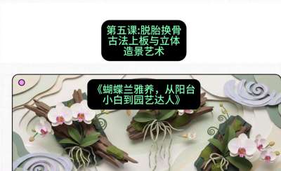 第五节：脱胎换骨：古法上板与立体造景艺术，课程：《蝴蝶兰雅养六讲：从阳台小白到园艺达人》#识农AI