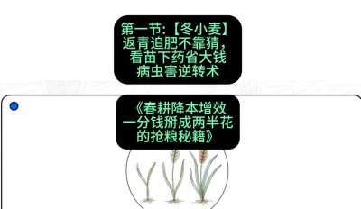 第一节：【冬小麦】返青追肥不靠猜，看苗下药省大钱