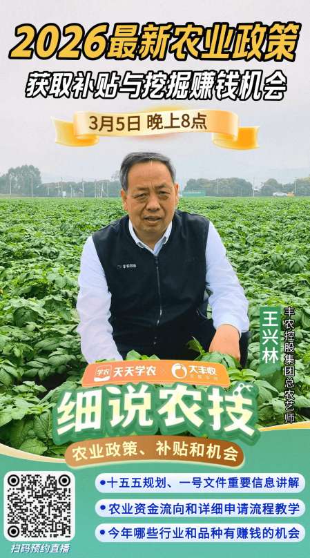 http://st-static1.ag96.cn/forums/2026/03/04/17725891521769.png