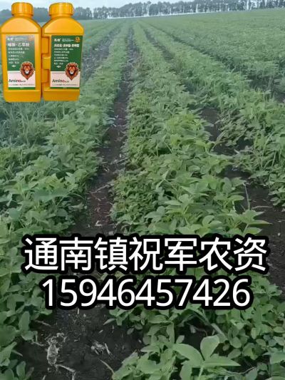 大豆苗前封闭，可封红根苋菜，灰菜，兰花菜，野豆子，捞豆秧等恶性杂草，封杀兼备的高端产品。