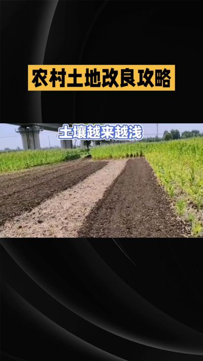 1. 先搞懂：你到底要改良哪块地、种什么
 
- 土土土在哪里？
就是你自家农田、菜地、果园，哪块地想种庄稼，就测哪块地的土。
​
- 有水没有水？
有水能浇：改良更省事，施肥、调酸碱都好操作。
没水