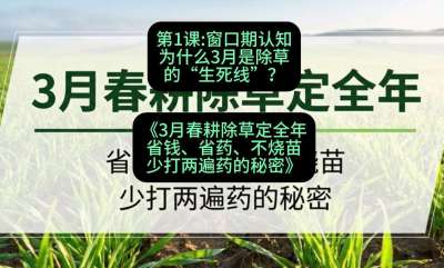 第1节：窗口期认知，为什么3月是除草的&ldquo;生死线&rdquo;？，课程：《3月春耕除草定全年：省钱、省药、不烧苗、少打两遍药的秘密》
