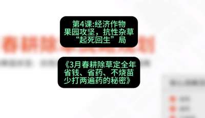 第4节：经济作物果园攻坚，抗性杂草&ldquo;起死回生&rdquo;局，课程：《3月春耕除草定全年：省钱、省药、不烧苗、少打两遍药的秘密》